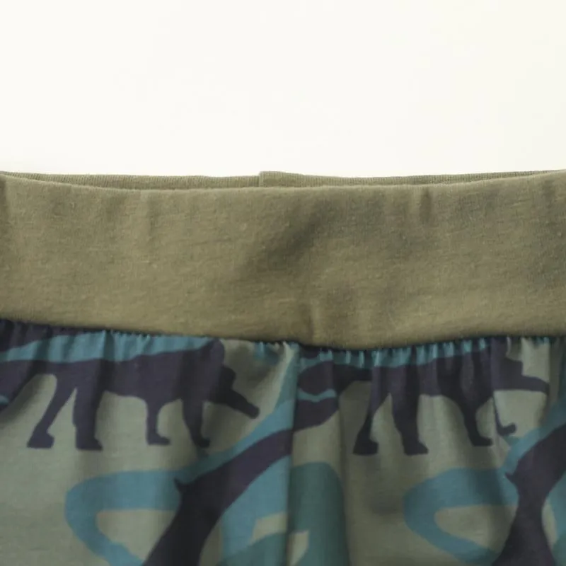 2-piece Dinosaur Pattern Sweatshirts & Pants for Baby Boy