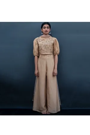 Embroidered silk top and palazzo with dupatta